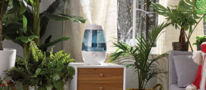 a Honeywell plant humidifier on a dresser humidifying a room filled with indoor plants