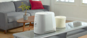 A honeywell cool mist humidifier and humidifier replacement filter on a table in a living room
